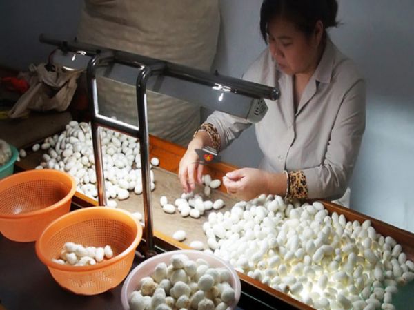 Silk Factory Dalat